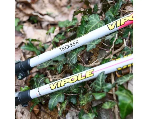 Трекінгові палиці Vipole Trekker Violet (S25 11) (DAS303452)
