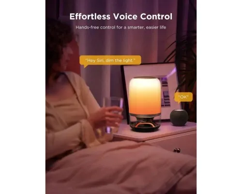 Світильник Govee Table Lamp 2 Pro x Sound by JBL, RGBICWW, WI-FI/Bluetooth, білий (H60200F1)