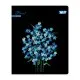 Зошит Yes Floral bloom А5 24 аркушів клітинка (768592)