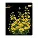Зошит Yes Floral bloom А5 24 аркушів клітинка (768592)