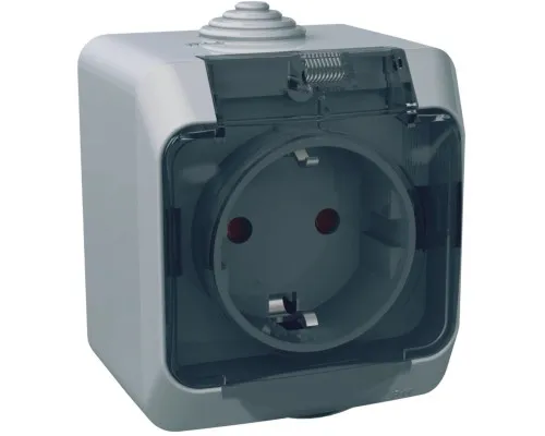 Розетка Schneider Electric CEDAR 2К+С зі шторками та прозорою кришкою серая IP44 (WDE000643)