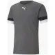 Футболка Puma teamRISE Jersey 704932-13 сірий XL (4063699213300)