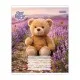 Зошит 1 вересня Bear stories А5 24 аркушів клітинка (768974)