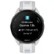 Смарт-годинник Garmin Forerunner 165, GPS, Mist Grey/Whitestone, GPS (010-02863-21)