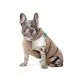 Жилет для тварин Pet Fashion Chip S2 (4823082438884)