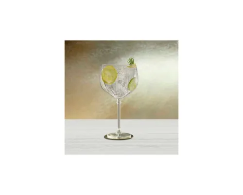 Келих Onis (Libbey) серія "Bonheur" Gin&Tonic 650 мл (360073)