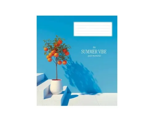 Зошит Школярик Star Summer Vibes 48 аркушів лінія (048-3621L)