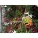 Пазл Eugy 3D Зоопарк Хамелеон (XEG-075)