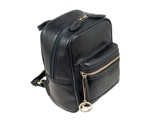 Рюкзак туристичний Ashwood T87 Black