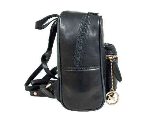Рюкзак туристичний Ashwood T87 Black