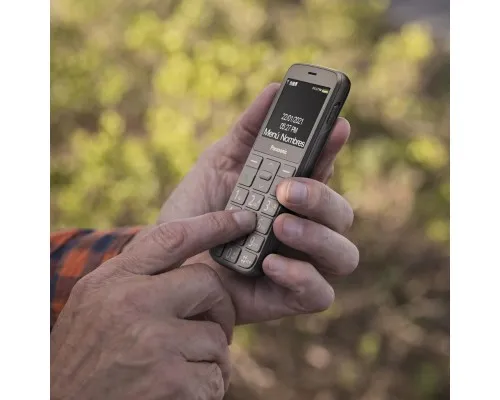 Мобільний телефон Panasonic KX-TU160 Grey (KX-TU160EXG)