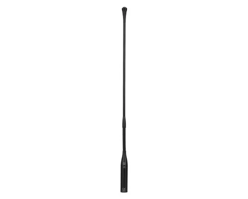 Мікрофон AKG AKG CGN99 C/L (2965H00130)