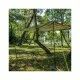 Туристичний килимок Naturehike PE NH20FCD03 M (6927595746776)