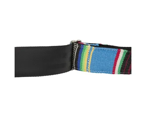 Ремінь для гітари Fender Strap 2" Serape Blue Multi (230637)