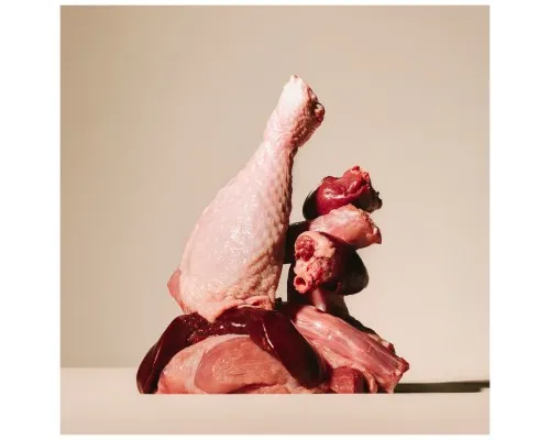 Консерви для собак Carnilove Turkey & Pheasant with Raspberry Leaves 300 г (8595602583652)