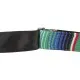 Ремінь для гітари Fender Strap 2" Serape Green Multi (230636)