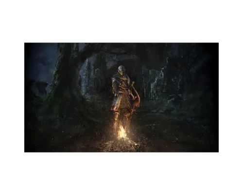 Гра Nintendo Dark Souls Remastered, картридж (045496421892)