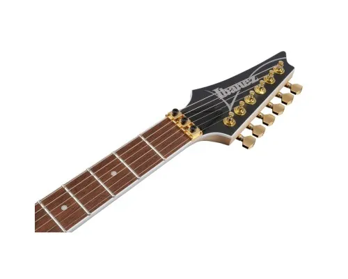 Електрогітара Ibanez RGR420FMSP-TGF (302362)