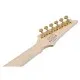 Електрогітара Ibanez RGR420FMSP-TGF (302362)
