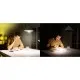 Лампочка Osram LED E27 8Вт 806Лм 2700К A60 акумуляторна (4099854190087)