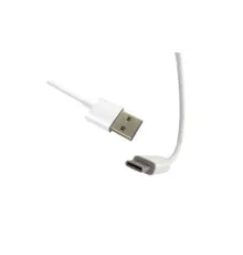 Аксесуар до екшн-камер AirOn зарядний пристрій USB-C (3 м) + USB-C сплітер для Procam 7/8 (69477915500108)