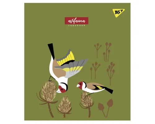Зошит Yes А5 Avifauna 24 аркушів клітинка (766833)