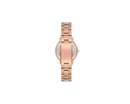 Наручний годинник Ferro F21124A-C