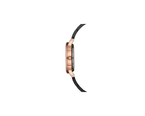 Наручний годинник Ferro F21124A-R