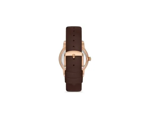 Наручний годинник Ferro F21182B-S