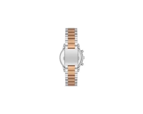 Наручний годинник Ferro FL21258A-E