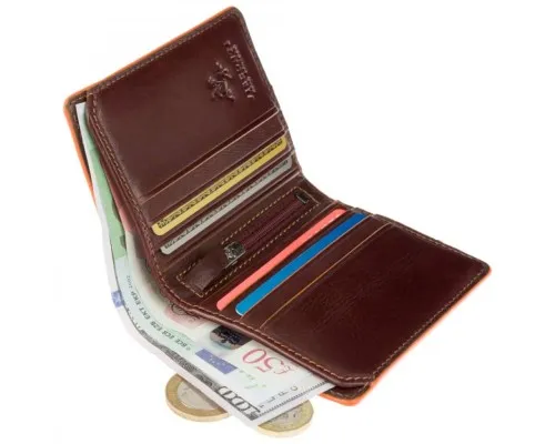 Гаманець Visconti ALP92 Tignes Brown (ALP92 BRN)