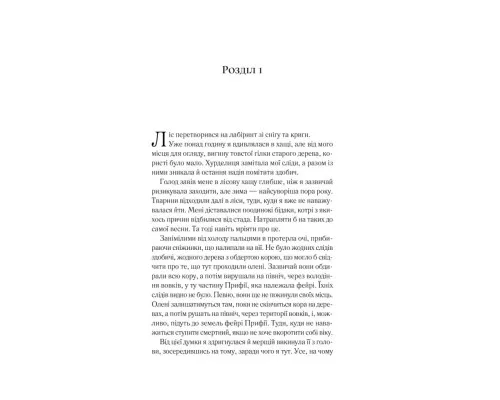 Книга Двір шипів і троянд - Сара Дж. Маас Vivat (9786171707542)