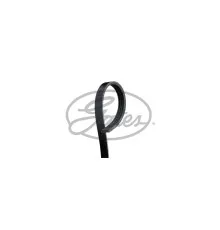 Поліклиновий ремінь Gates 4PK1540