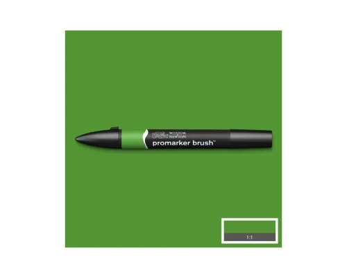 Маркер Winsor&Newton двосторонній Brushmarker, (G356) Зелений ліс (884955043134)