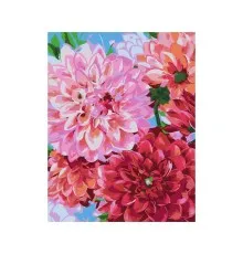 Картина по номерам Rosa Start Цветы георгины 35 х 45 см (4823098525271)