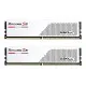 Модуль памяти для компьютера DDR5 32GB (2x16GB) 5600 MHz Ripjaws S5 White G.Skill (F5-5600J4040C16GX2-RS5W)