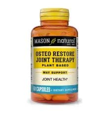 Витаминно-минеральный комплекс Mason Natural Восстановительная терапия сустав, Osteo Restore Joint Therap (MAV17795)