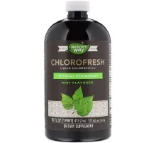 Трави Nature's Way Рідкий Хлорофіл, Liquid Chlorophyll, (м'ятний смак), 473 мл (NWY03501)