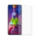 Плівка захисна Devia Samsung Galaxy S21FE double side (DV-SM-S21FEFB)