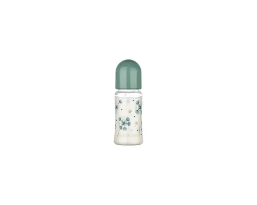 Бутылочка для кормления Baby-Nova пластиковая Decor Green 300 мл (3966382)