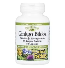 Вітамінно-мінеральний комплекс Natural Factors Гінкго Білоба, Ginkgo Biloba, 60 капсул (NFS-04532)