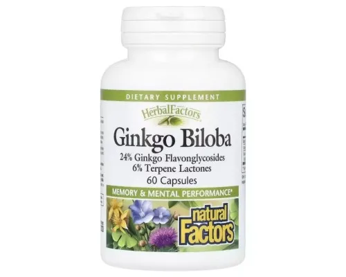Витаминно-минеральный комплекс Natural Factors Гинкго Билоба, Ginkgo Biloba, 60 капсул (NFS-04532)