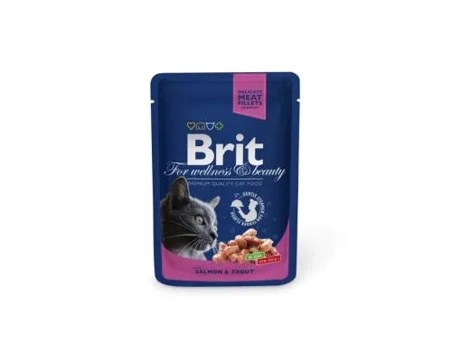 Вологий корм для кішок Brit Premium Cat Pouches with Salmon&Trout 100 г (8595602505999)