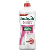 Засіб для ручного миття посуду Ludwik Малина 450 г (5900498029727)