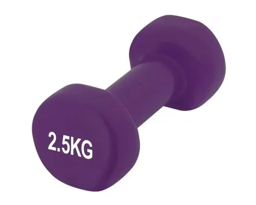 Гантель PowerPlay 4125 Achilles 2.5 кг Фіолетова (PP_4125_2.5kg)