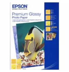 Фотобумага Epson A4 Premium Glossy Photo (C13S041287)