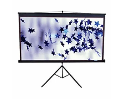 Проекционный экран T85NWS1 Elite Screens