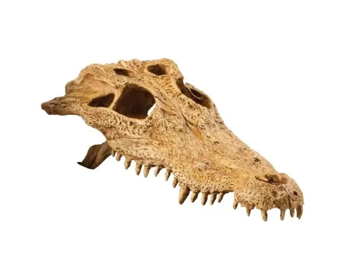 Декорация для террариума ExoTerra Череп крокодила (пластик) (015561228565)
