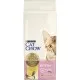 Сухой корм для кошек Purina Cat Chow Kitten с курицей 15 кг (5997204514028)