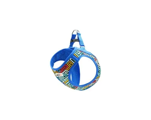 Шлей для собак MISOKO&CO blue-multicolor M (DCAMIS306M-M)